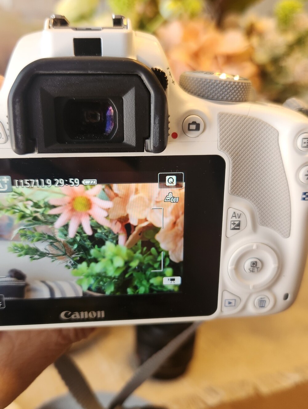 Canon EOS Rebel SL1 100D Camera Kit with Multiple Lenses - Picture 3 of 7